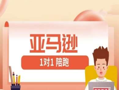 亚马逊1对1陪跑课(FBA/FBM精铺)跨境亚马逊教程 亚马逊1对1陪跑课(FBA/FBM精铺)跨境亚马逊教程
