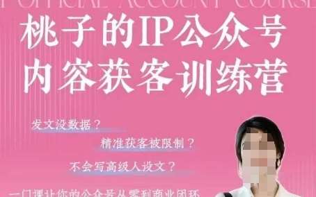 桃子IP公众号内容获客训练营(第3期)，一门让你公众号从0到商业闭环的课程宝哥轻创业_网络项目库_分享创业资讯_最新网创免费网络项目资源宝哥网创资源项目库