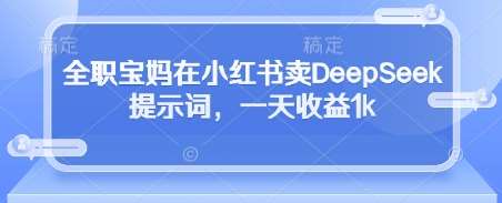 全职宝妈在小红书卖DeepSeek提示词，一天收益1k宝哥轻创业_网络项目库_分享创业资讯_最新网创免费网络项目资源宝哥网创资源项目库