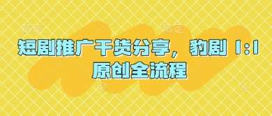 短剧推广干货分享,豹剧 1:1原创全流程 短剧推广干货分享,豹剧 1:1原创全流程