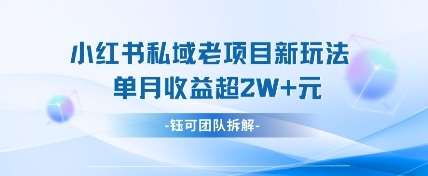 小红书私域项目新玩法,单月变现过W+ 小红书私域项目新玩法,单月变现过W+