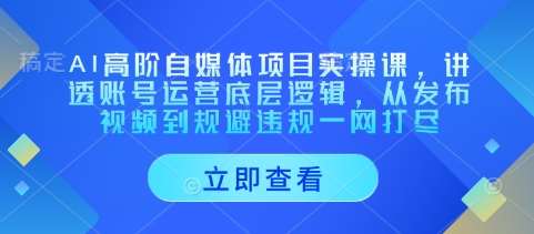 AI高阶自媒体项目实操课,讲透账号运营底层逻辑,从发布视频到规避违规一网打尽 AI高阶自媒体项目实操课,讲透账号运营底层逻辑,从发布视频到规避违规一网打尽