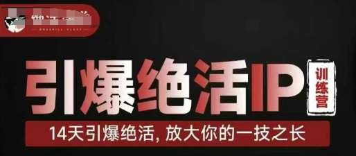 引爆绝活IP训练营，14天引爆绝活，放大你的一技之长宝哥轻创业_网络项目库_分享创业资讯_最新网创免费网络项目资源宝哥网创资源项目库