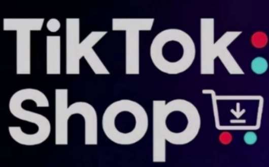 TikTokShop跨境电商0-1实战，手把手教你低成本启动海外市场宝哥轻创业_网络项目库_分享创业资讯_最新网创免费网络项目资源宝哥网创资源项目库