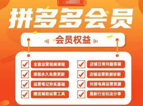 2025拼多多运营实战课，40节全流程教学，覆盖拼多多运营全链路宝哥轻创业_网络项目库_分享创业资讯_最新网创免费网络项目资源宝哥网创资源项目库