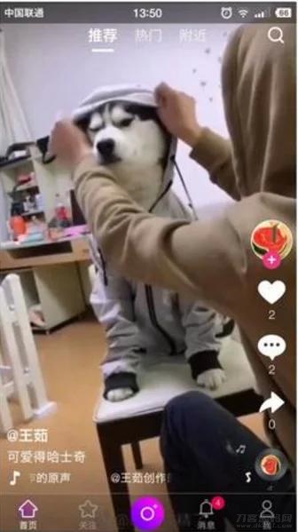 【云豹二开】2021年最新云豹二开完整源码/直播/短视频/带教程/带开发文档宝哥轻创业_网络项目库_分享创业资讯_最新网创免费网络项目资源宝哥网创资源项目库