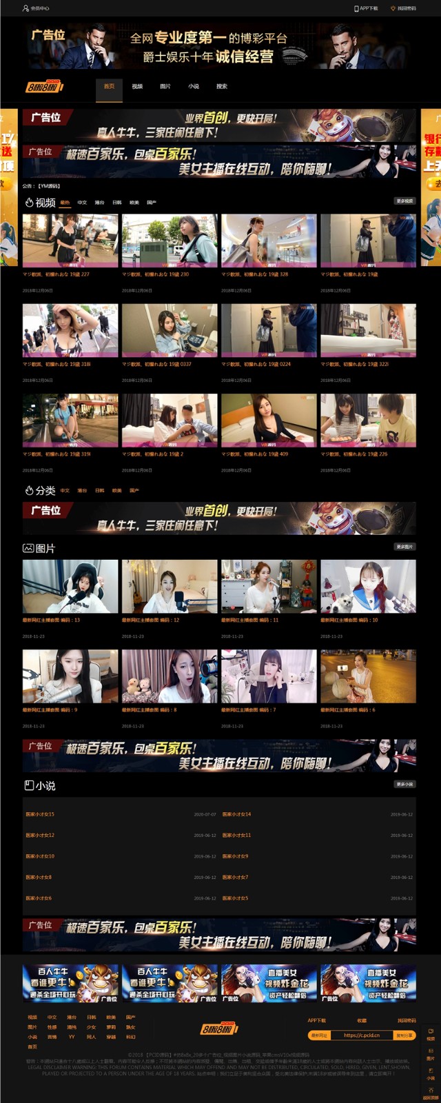 H站网站源码下载_带小说模块和图片自营式宝哥轻创业_网络项目库_分享创业资讯_最新网创免费网络项目资源宝哥网创资源项目库