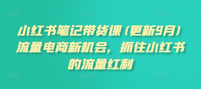 小红书笔记带货课(更新25年6月)流量电商新机会，抓住小红书的流量红利宝哥轻创业_网络项目库_分享创业资讯_最新网创免费网络项目资源宝哥网创资源项目库