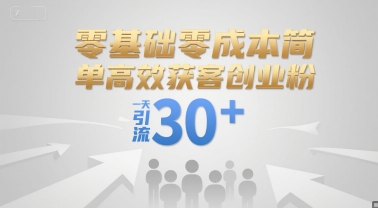 零基础零成本简单高效获客创业粉，一天引流30+宝哥轻创业_网络项目库_分享创业资讯_最新网创免费网络项目资源宝哥网创资源项目库