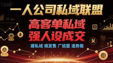 一人公司私域联盟，高客单私域，强人设成交，建私域 搞发售 广结盟 造势能宝哥轻创业_网络项目库_分享创业资讯_最新网创免费网络项目资源宝哥网创资源项目库
