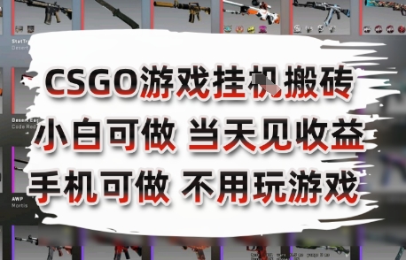 CSGO游戏挂G搬砖，小白纯手机即可操作，不用电脑打游戏，日入3张+，副业网创项目【揭秘】宝哥轻创业_网络项目库_分享创业资讯_最新网创免费网络项目资源宝哥网创资源项目库