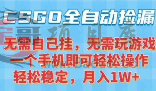 CSGO自动捡漏项目，最新独家玩法，一个手机可操作，新手小白轻松月入1W+，操作简单易上手【揭秘】宝哥轻创业_网络项目库_分享创业资讯_最新网创免费网络项目资源宝哥网创资源项目库