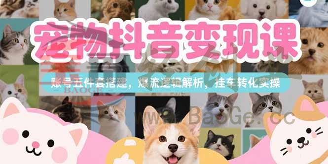 宠物抖音变现课，账号五件套搭建，爆流逻辑解析，挂车转化实操宝哥轻创业_网络项目库_分享创业资讯_最新网创免费网络项目资源宝哥网创资源项目库