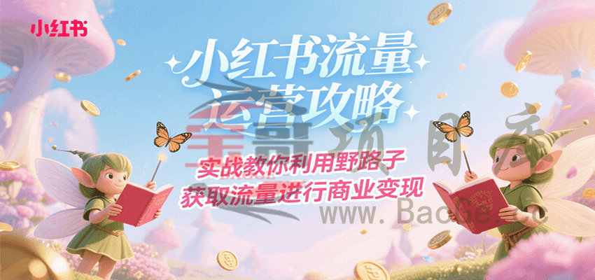 小红书流量运营攻略，实战教你利用野路子获取流量进行商业变现宝哥轻创业_网络项目库_分享创业资讯_最新网创免费网络项目资源宝哥网创资源项目库