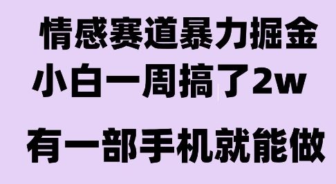 情感暴力掘金项目，新人操作一周挣了2W，长期稳定小白可做【揭秘】宝哥轻创业_网络项目库_分享创业资讯_最新网创免费网络项目资源宝哥网创资源项目库