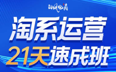 白凤电商·淘系运营21天速成班(更新7月)宝哥轻创业_网络项目库_分享创业资讯_最新网创免费网络项目资源宝哥网创资源项目库