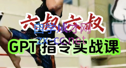 六叔的AI指令实战课(更新7月)宝哥轻创业_网络项目库_分享创业资讯_最新网创免费网络项目资源宝哥网创资源项目库