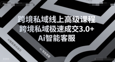 跨境私域线上高级课程，跨境私域极速成交3.0+Ai智能客服宝哥轻创业_网络项目库_分享创业资讯_最新网创免费网络项目资源宝哥网创资源项目库