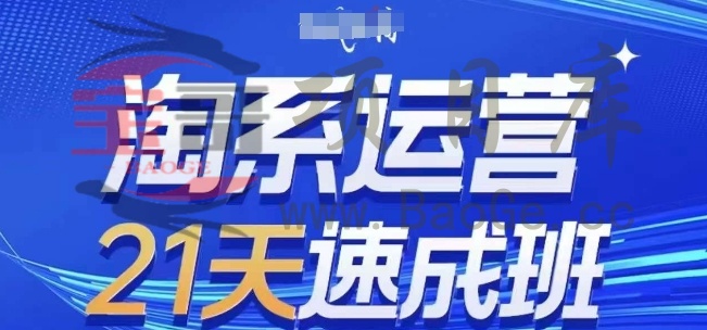 淘系运营21天速成班(更新25年7月)，0基础轻松搞定淘系运营，不做假把式宝哥轻创业_网络项目库_分享创业资讯_最新网创免费网络项目资源宝哥网创资源项目库