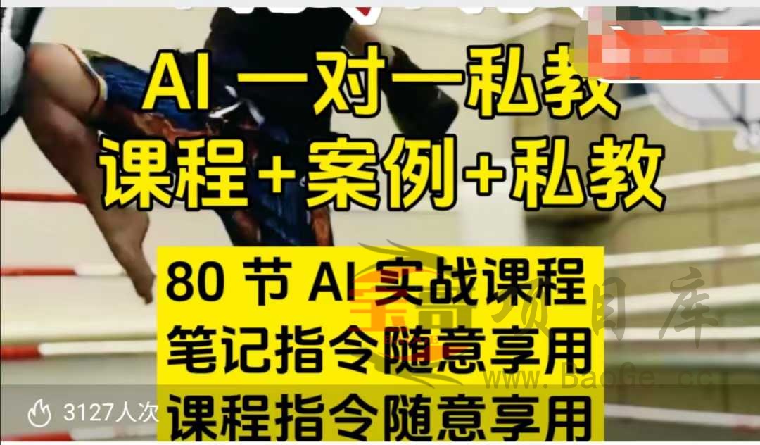 AI指令实战课，课程+案例，80节AI实战课程，笔记指令随意享用，课程指令随意享用(更新7月)宝哥轻创业_网络项目库_分享创业资讯_最新网创免费网络项目资源宝哥网创资源项目库